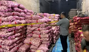 Polri bongkar penyelundupan puluhan ton bawang dan cabai