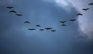 Peringatan Awan Cumulonimbus di Aceh