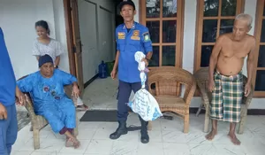 Monyet liar "menjarah" di rumah warga , pertanda krisis makanan di hutan? 
