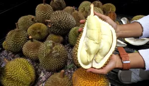 Ternyata ada durian Indonesia dijual di China, ini daerah penghasilnya