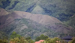Laju Deforestasi Hutan Aceh-Sumatera
