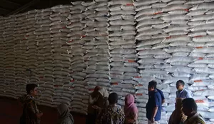 Bulog Aceh Targertkan 134.000 Ton Serapan Beras , Realisasi Hampir 50 Persen