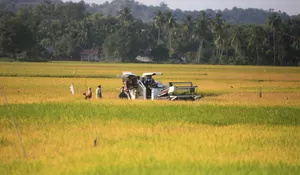 Catat, aturan baru disiapkan Mentan permudah bantuan untuk petani