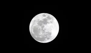 Ada Fenomena Flower Moon di Aceh