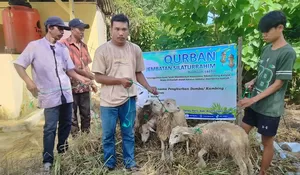 FDP tebar puluhan ekor hewan kurban ke perbatasan  Aceh