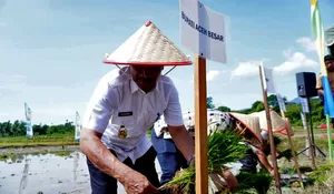 Ketika Brigade Pangan tanam serentak , Aceh Besar punya target 