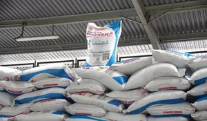 Saat Harga Pupuk Dunia Melonjak, Pemerintah Justru Turunkan Harga Pupuk Subsidi