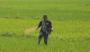 Jaminan ketersediaan pupuk