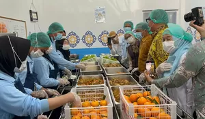 Menteri Kependudukan tinjau dapur MBG, pastikan standar gizi terpenuhi  