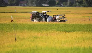 Bulog Aceh percepat distribusi bantuan pangan