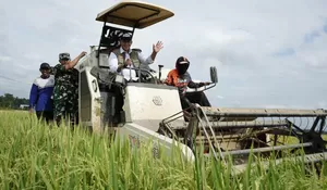 Bulog tanggapi masukan dari usaha penggilingan padi, pastikan hasil panen terserap