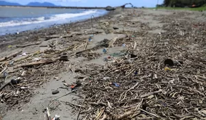 Persoalan sampah dalam tahap darurat