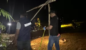 Tiga meninggal, empat luka tertimbun longsor tambang ilegal di Aceh Jaya