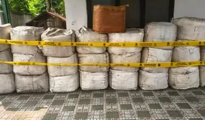 Berkas perkara penyelundupan sisik trenggiling lengkap, Gakkum serahkan Kapten Kapal Vietnam ke Kejari Cilegon