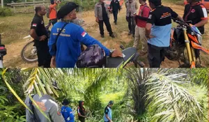 Tim BPBD dan BKSDA tangani interaksi gajah liar di Aceh Barat