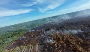 Karhutla di Aceh meluas capai 247 hektare