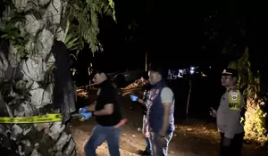 Buntut telan 3 korban tertimbun, WALHI Aceh pertanyakan tambang emas ilegal