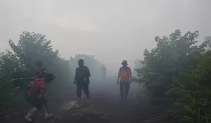 Penanganan kebakaran lahan gambut butuh dukungan OMC di Aceh Barat 