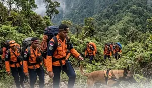Pencarian H-2 pendaki hilang di Gunung Seulawah, Tim SAR libatkan K-9 