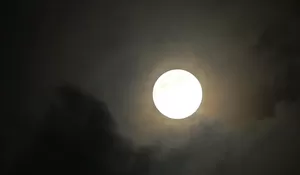 Fenomena Buck Moon