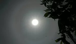 Fenomena Halo Matahari