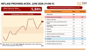 Aceh inflasi 5,84 persen, Aceh Tengah tertinggi 7,25 persen