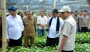 Soal pengembangan sektor pertanian Aceh, begini respon Mentan