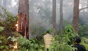BPBD Aceh Besar padamkan karhutla di kawasan lindung 