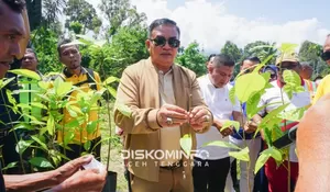 Aceh Tenggara menuju sentra produksi pengembangan kakao 