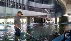 Perawatan kolam Museum Tsunami