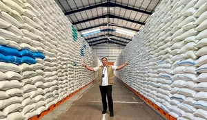 Mendekati target, Bulog serap 3,4 juta ton beras