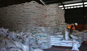 60.067 penerima manfaat bantuan beras, target tuntas September 