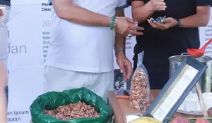 Aceh Tenggara gelar festival kakao, jalan menuju pasar dunia