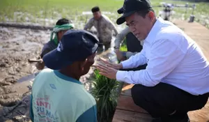 Mentan pertanyakan lambannya pemulihan pertanian di Aceh