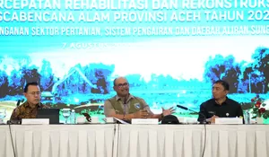 Satgas PRR sebut rehabilitasi sawah terdampak bencana di Aceh capai 53 persen