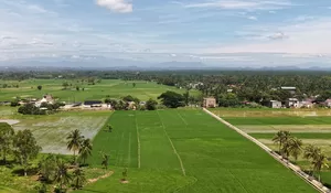 Targetkan sawah siap tanam  November 2026, kemarau dan irigasi jadi hambatan
