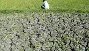 BMKG ingatkan kombinasi El Nino dan IOD terjadi bersamaan, ini dampaknya
