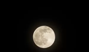 Fenomena Harvest Moon