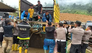 Aparat tertibkan tambang emas ilegal di Pidie, penambang menghilang