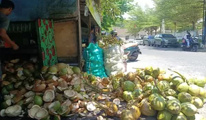 Mungkin minuman ini yang cocok untuk anda di musim panas