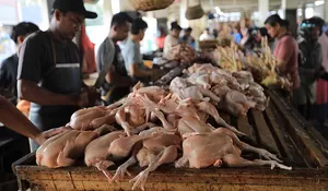 Lonjakan harga ayam potong di Aceh