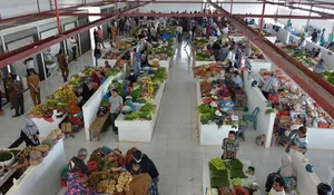 212 ribu UMKM terdampak bencana Sumatera, segini modal usaha dikucurkan