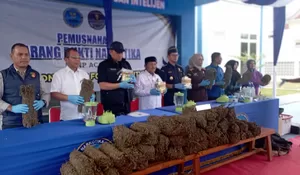 BNNP Aceh musnahkan narkotika jenis sabu dan ganja