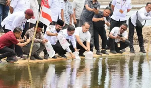 KKP salurkan 4,2 juta benur udang  ke Aceh Timur, program ini
