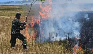 Sebulan, 50 kejadian bencana di Aceh didominasi karhutla