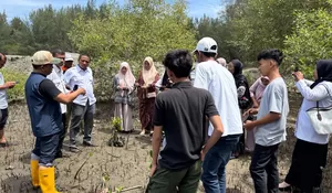 Kawasan pembibitan manggrove dikembangkan, tapi ada alih fungsi lahan