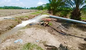Irigasi belum pulih pasca banjir, petani gunakan pompa untuk pengairan sawah