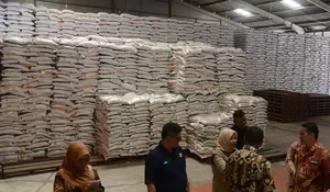 Akibat turun mutu, 380.000 ton beras nasional dilelang jadi tepung