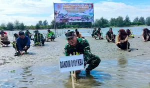 HUT ke 81 TNI, Kodim 0101 tanam mangrove di pesisir Aceh