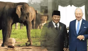 Way Kambas Lampung Jadi Prioritas Kerja Sama Konservasi dalam Pertemuan Prabowo–Raja Charles III